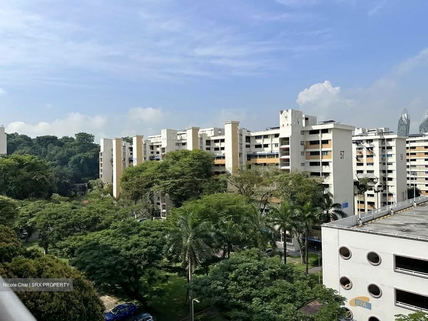Blk 61 BLANGAH GARDEN (Bukit Merah), HDB 3 Rooms #557245721